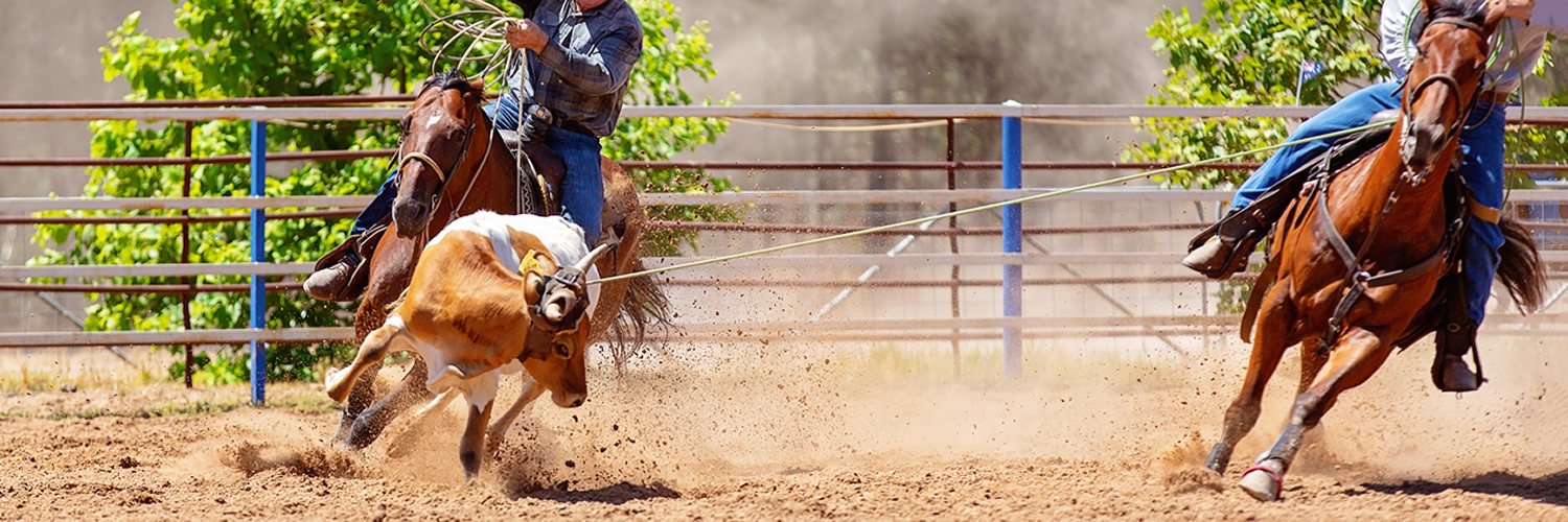 Team Roping