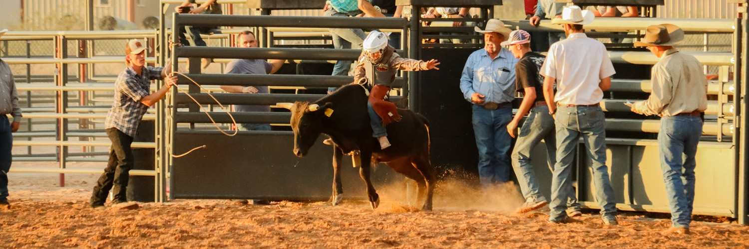 Steer Riding