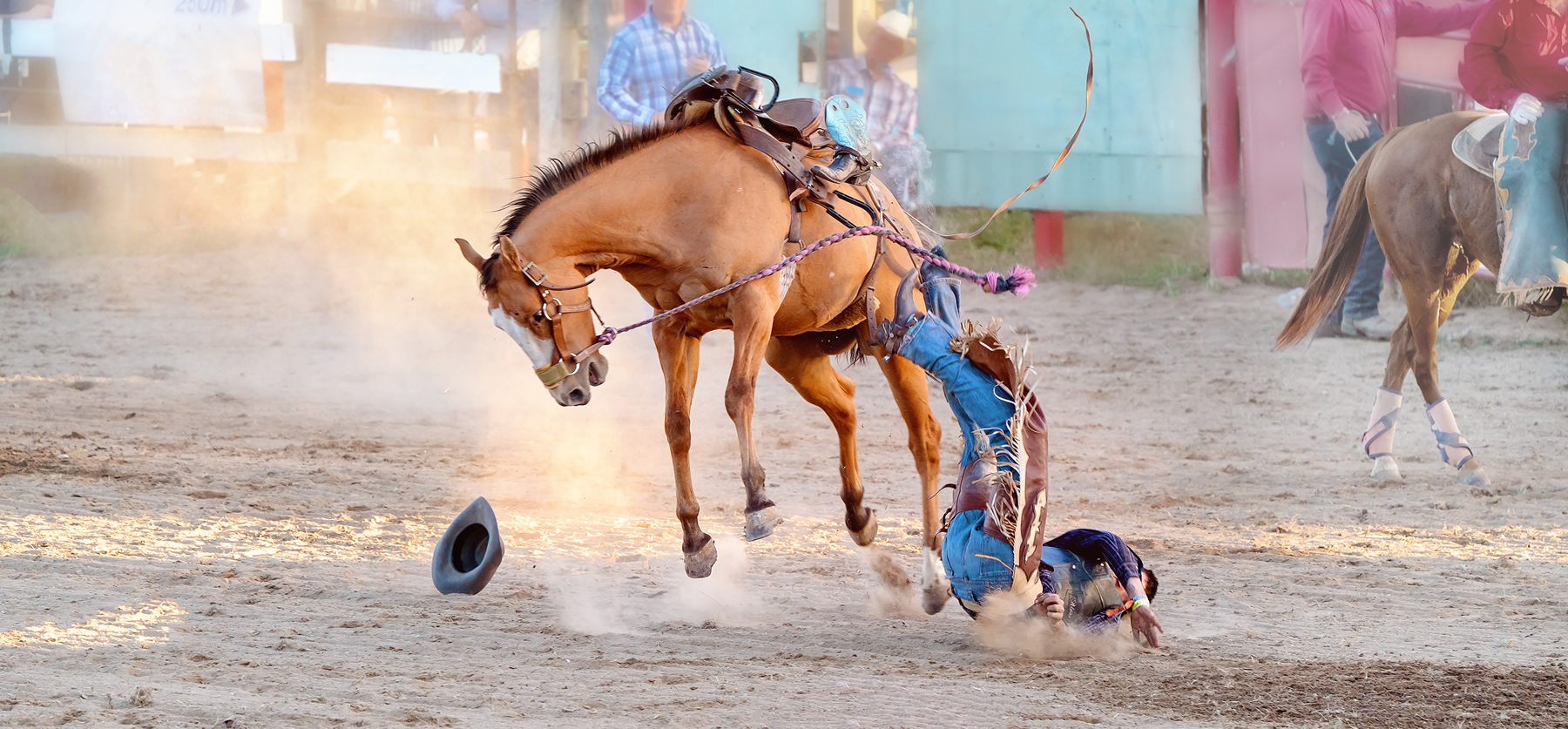 Saddle Bronc Riding