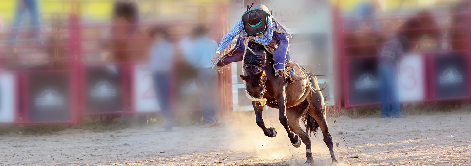 Saddle Bronc