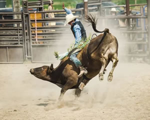 Open Rodeo