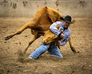 Open Rodeo