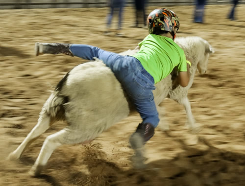  Youth Rodeo