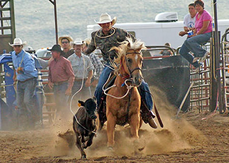  Tie-down Roping